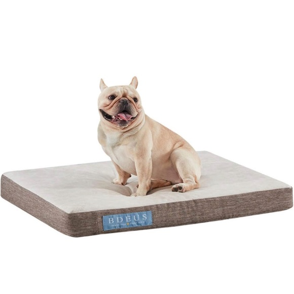 NWT Orthopedic Dog Bed